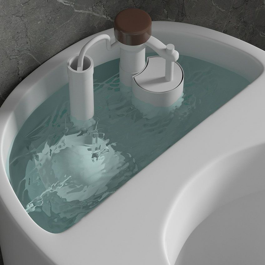 Modern Ceramic Toilet Floor Mounted Skirted Urine Toilet with Toilet Seat