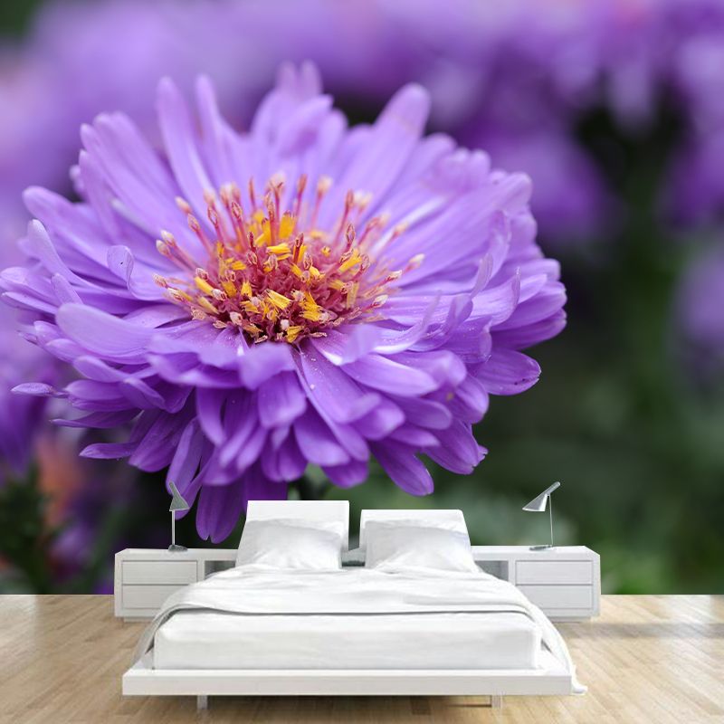 Chrysanthemum Mural Wallpaper Customized Wall Decor for Girls Bedroom, Waterproofing