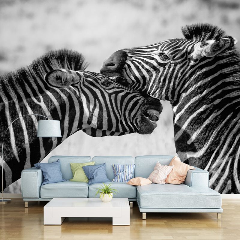 Contemporary Zebra Wall Mural Black and White Decorative Wall Covering for Living Room