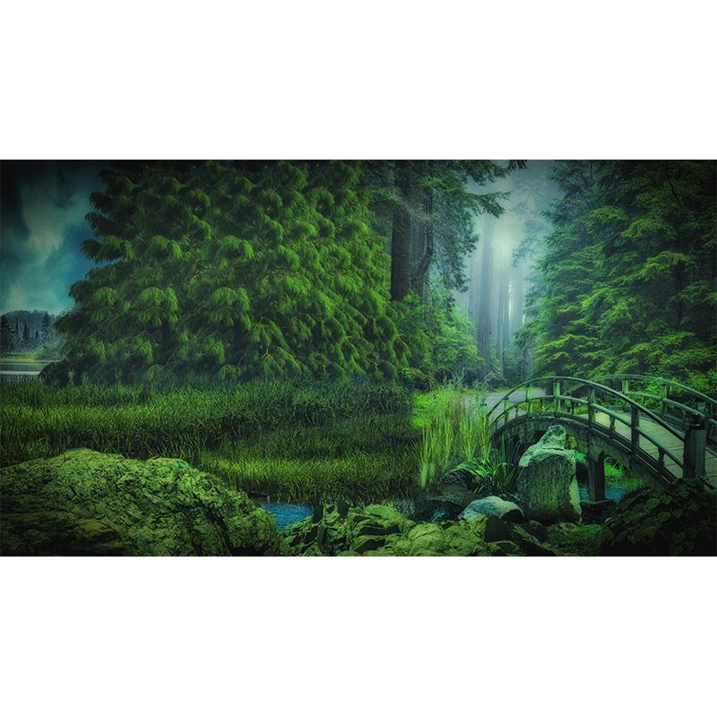 Illustration Forest Mural Wallpaper Decorative Mildew Resistant Wall Decor