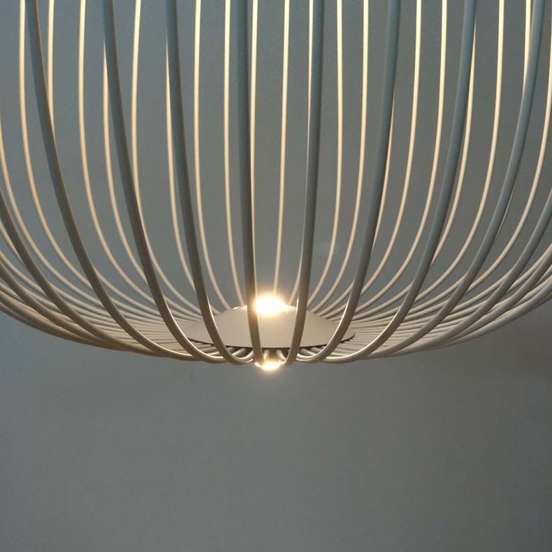 Simple Metal Hanging Light, Globe and Cage Shade 2-Light Hanging Lighting