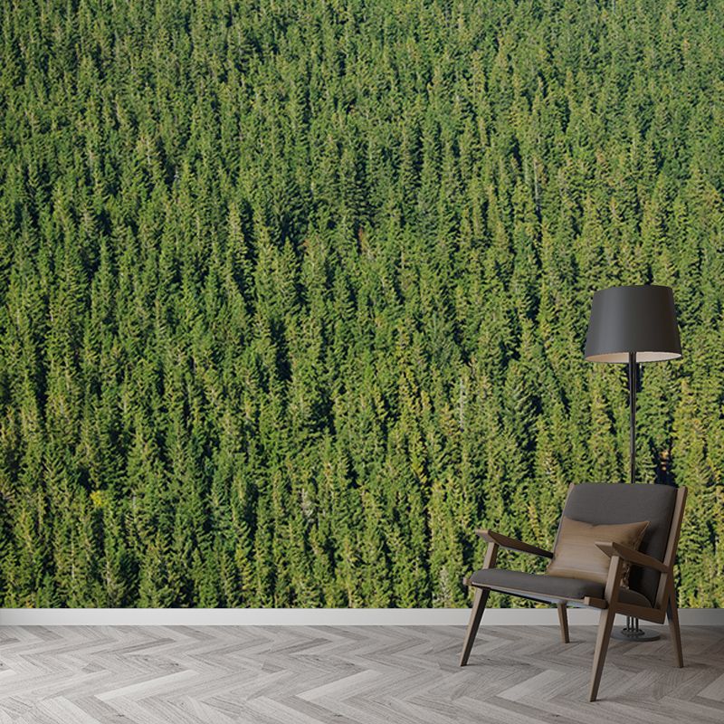 Light Color Forest Mural Contemporary Sleeping Room Wall Mural