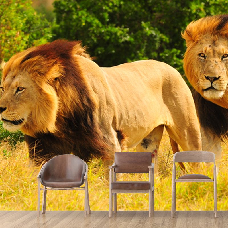 Yellow Lion Mural Wallpaper Moisture Resistant Modern Bedroom Wall Decor, Custom Size