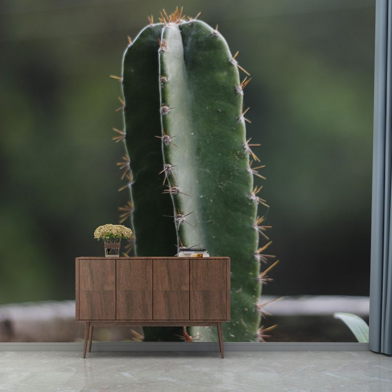 Minimalism Style Prickly Cactus Wall Mural for Reading Room, Mildew Resistant
