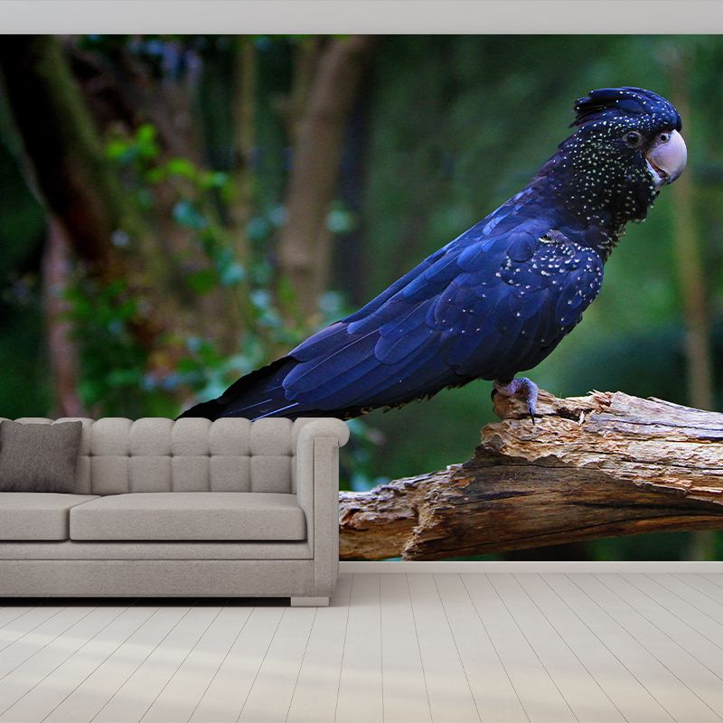 Lovely Parrot Wall Mural Wallpaper Mildew Resistant Wall Covering for Decoration