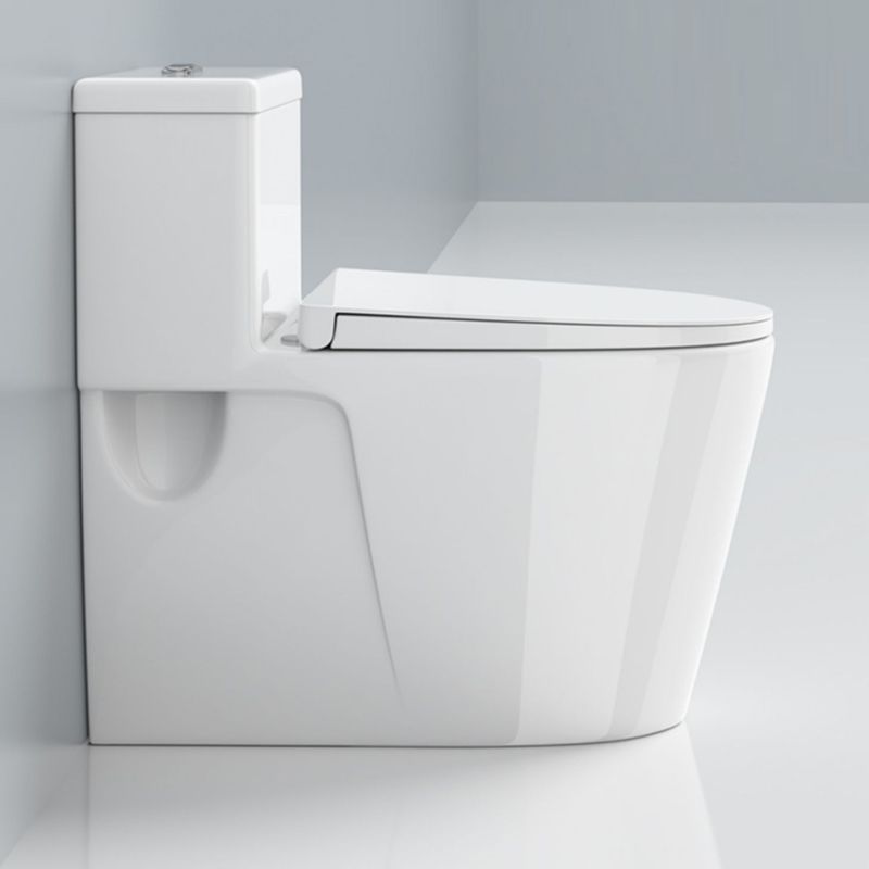 Modern Floor Mount Toilet Slow Close Seat Included Toilet Bowl for Washroom