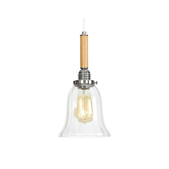 Globe/Cone/Small Bell Pendant Lighting Vintage Clear Glass 1 Licht Roségoud/Chrome hangende lamp met verstelbaar koord