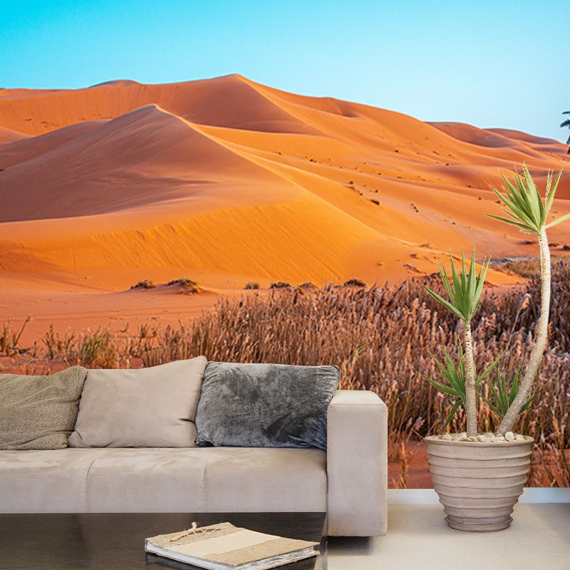 Dry Desert Wall Mural Decal for Reading Room, Personalized Size Available