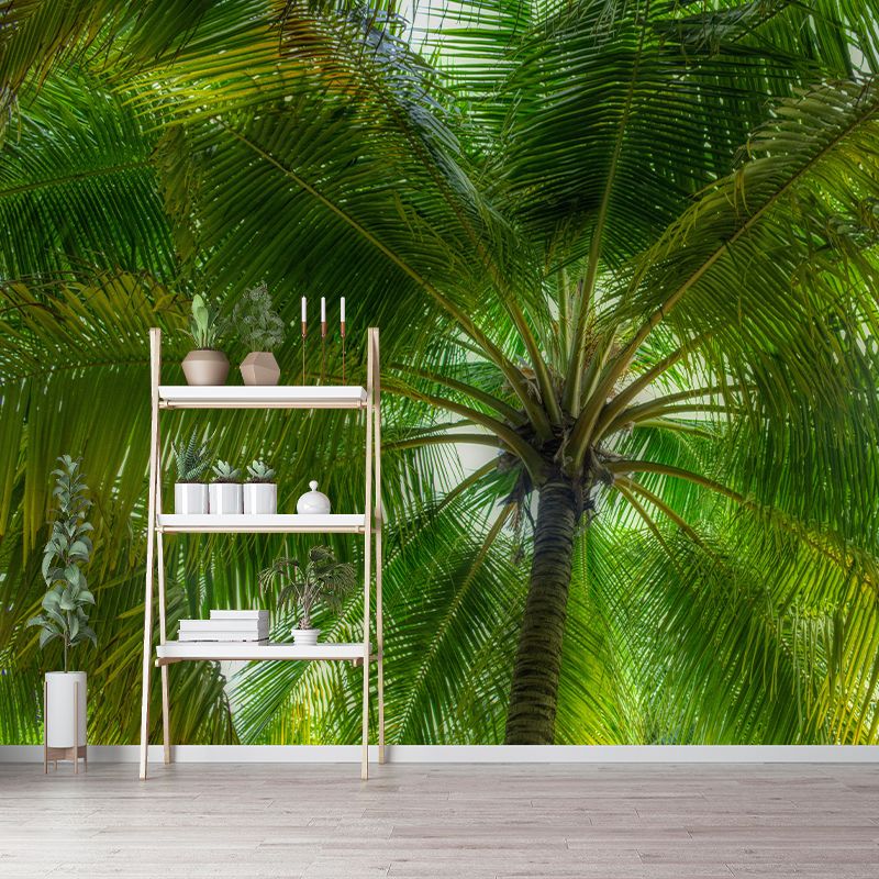 Horizontal Photography Palm Tree Mural Environment Friendly Wallpaper for Home