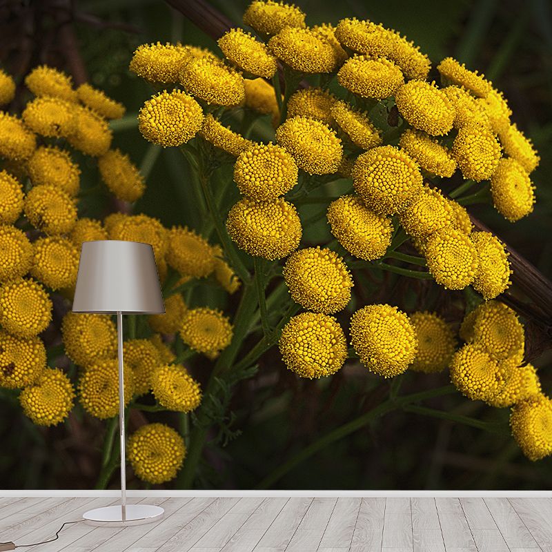 Tansy Flower Wall Covering for Girls' Bedroom Water Resistant Wall Decor