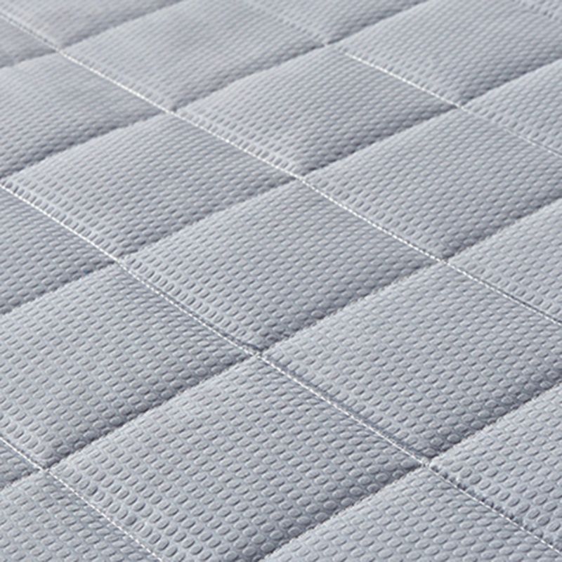 Sheet Sets Cotton Solid Color Ultra Soft Wrinkle Resistant Breathable Bed Sheet Set