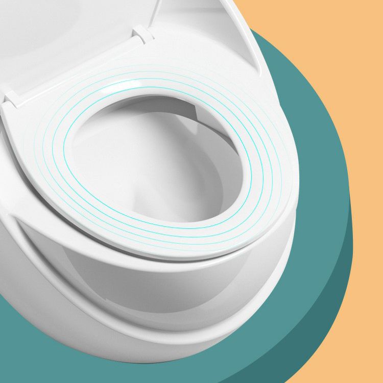 Modern Skirted Toilet Floor Mounted One Piece Flush Toilet with Toilet Seat