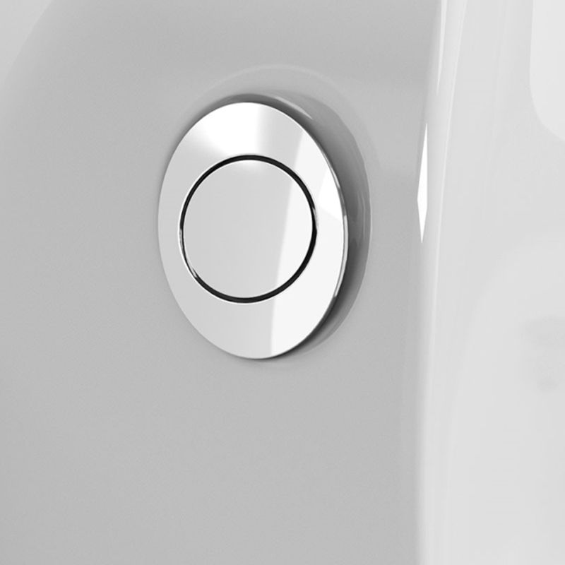 Modern Ceramic Flush Toilet Floor Mounted Urine Toilet with Slow Close Seat for Washroom