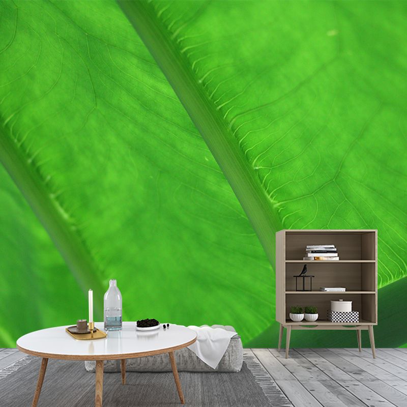 Plant Mural Wallpaper Leaf Surface Pattern for Reading Room Bedroom Decor