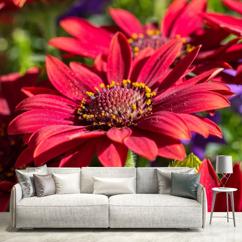 Bunte Chrysanthemen-Wanddekoration für Schlafzimmer und Wohnzimmer, individuelle Größe erhältlich
