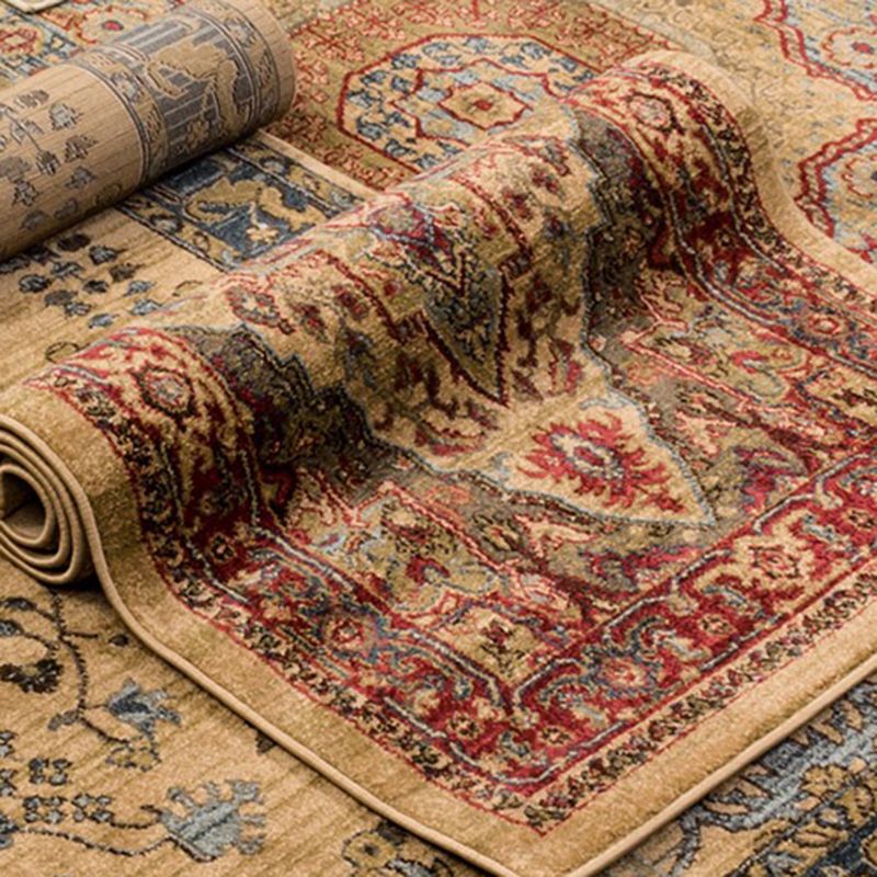 Shabby Chic Ethnic Printed Rug Color Mixed Polyester Area Carpet Stain Resistant Rug for Living Room