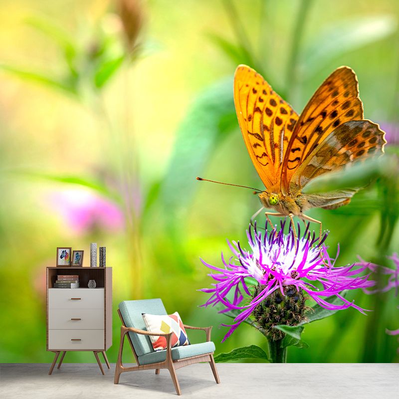 Silver Washed Fritillary Mural Contemporary Photography for Living Room Decoration