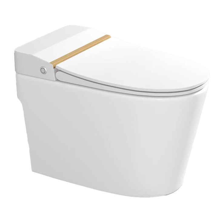 Modern Floor Mount Toilet Bowl Siphon Jet Skirted Toilet with Seat for Bathroom