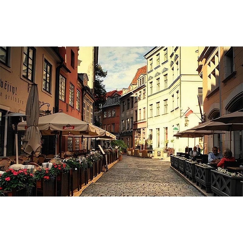 European Street Wall Mural in Brown, Minimalist Wall Covering for Coffee Shop