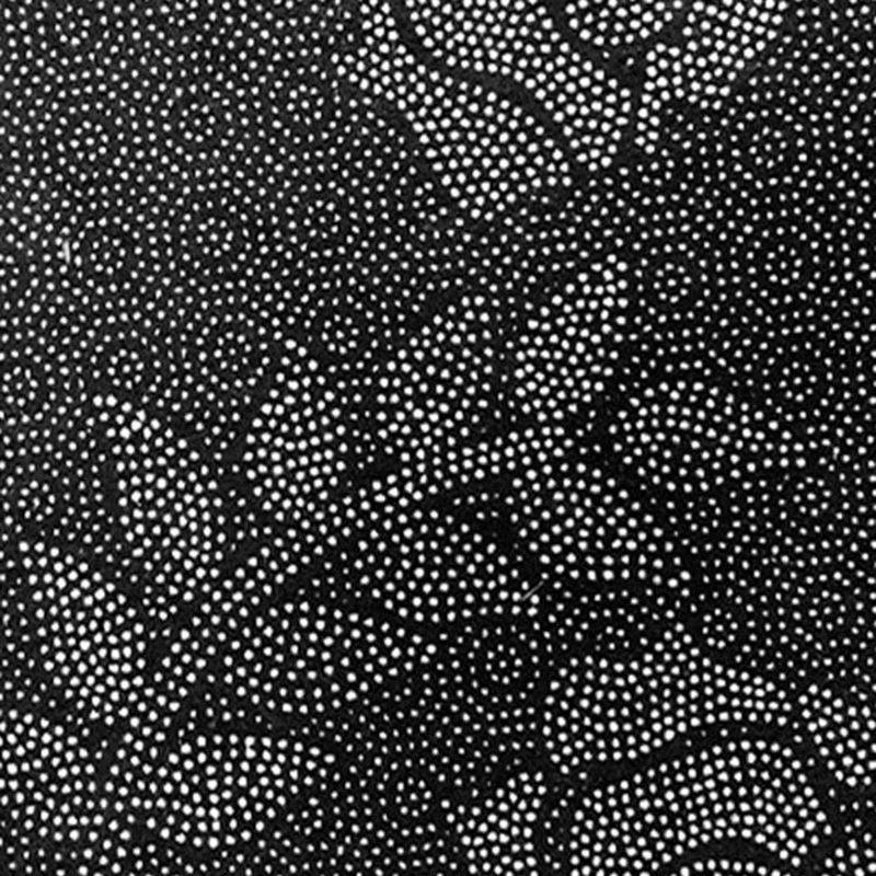 Black Modern Rug Polyester Kids Indoor Rug Stain Resistant Rug for Living Room