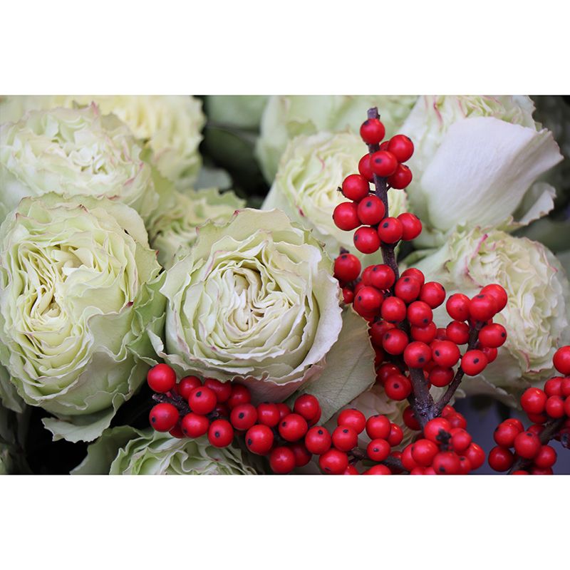 Blooming Rose Wall Mural Wallpaper for Girl Bedroom, Custom Size Available