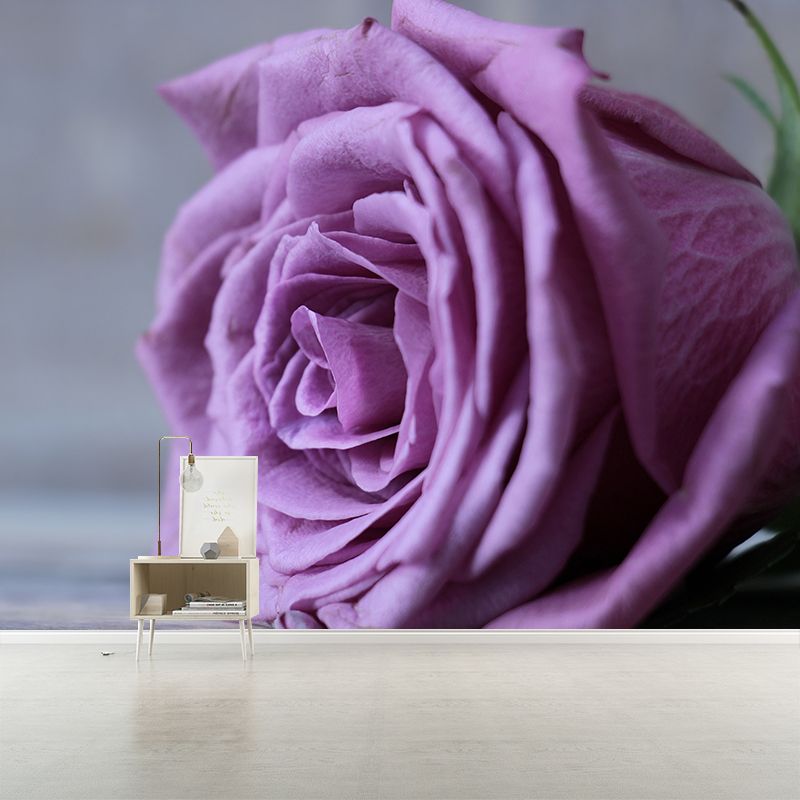 Blooming Rose Wall Mural Decal for Home Decoration Washable, Made to Measure