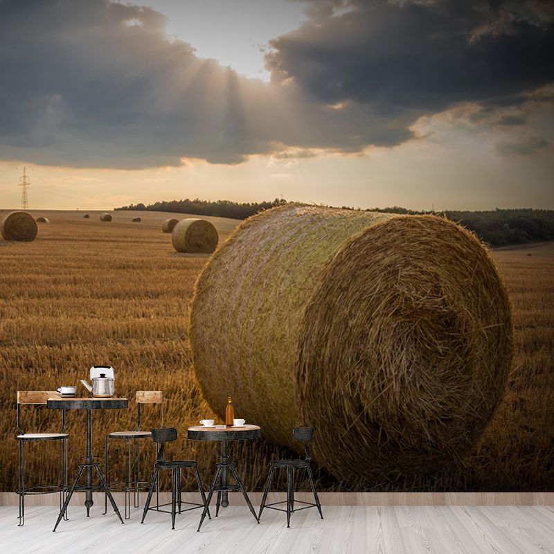 Contemporary Style Straw Bale Mural Stain Resistant Wall Art for Dining Room