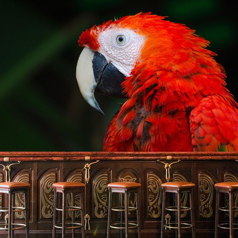 Clever Parrot Murals Moisture Resistant Contemporary Hallway Wall Decoration