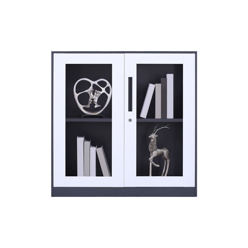 Modern Stainless Steel Bookcase Standard With Doors Shelf for Home Office