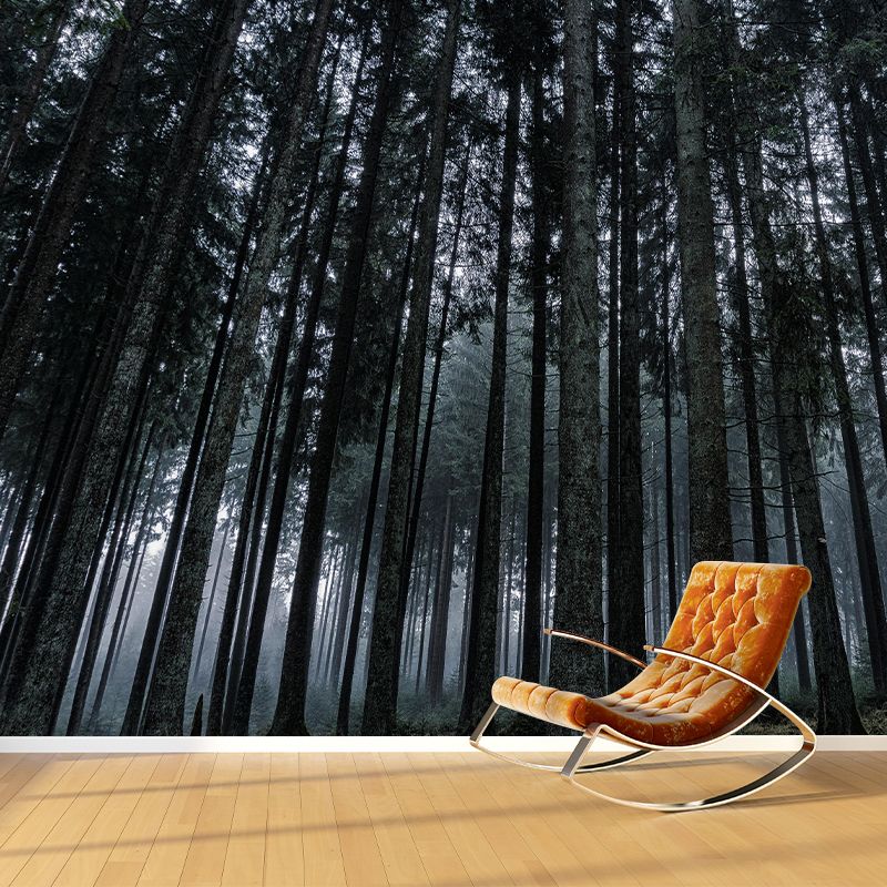Forest Scene Style Nature 3D Wall Mural Wallpaper Photography Mildew Resistant Wall Art
