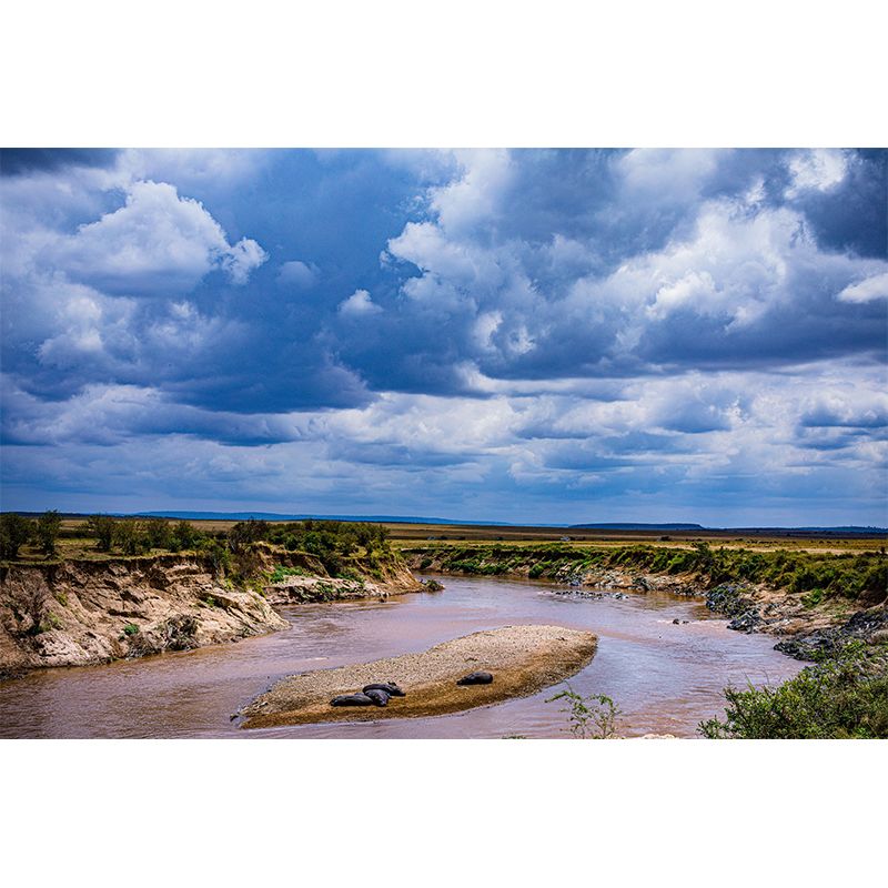 Photography Pattern Mildew Wall Mural Landscapes for Living Room