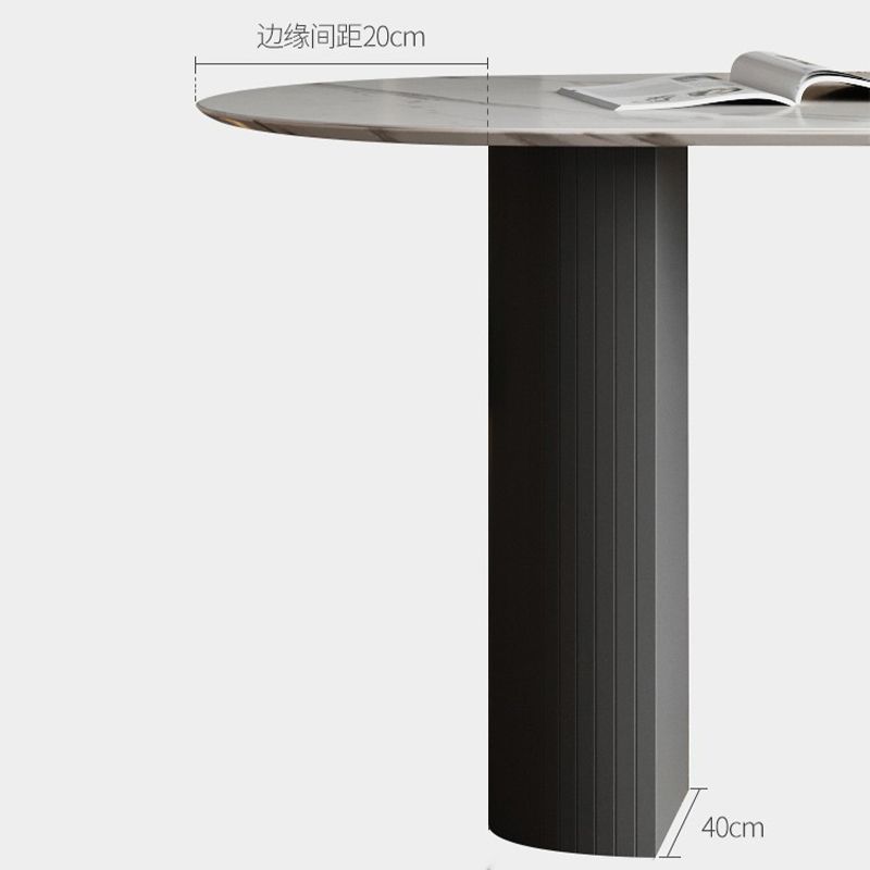 Modern Oval Dining Table Matte Finish Double Pedestal Table for Home