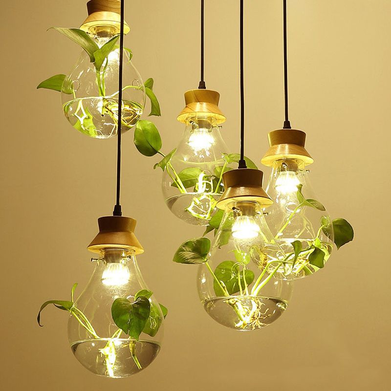 Contemporary Design Bulb Glass Shade Hanging Lamp Hydroponics Plant Drop Pendant for Coffee Shop