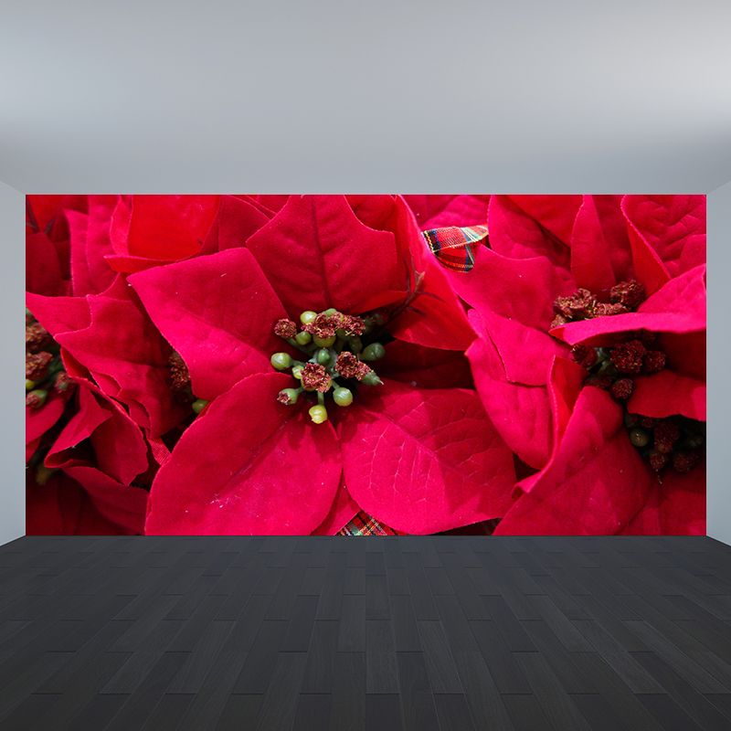Contemporary Poinsettia Wall Mural Moisture Decorative Eco-friendly for Home Decor