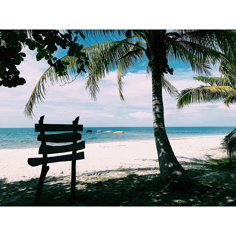 Wall Mural Environmental Wallpaper Tropical Landscape Living Room Wall Mural