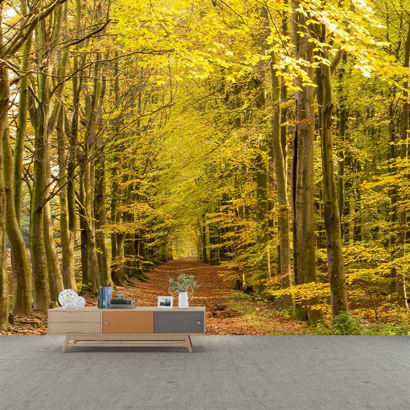 Forest View Mural Decal Water Resistant Decor for Sleeping Room, Personalized Size Available