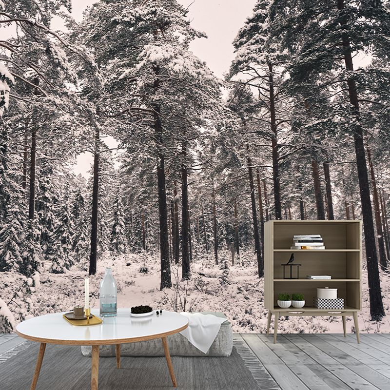 Horizontal Photography Forest Landscapes Mural Eco-friendly Wallpaper for Home Decor