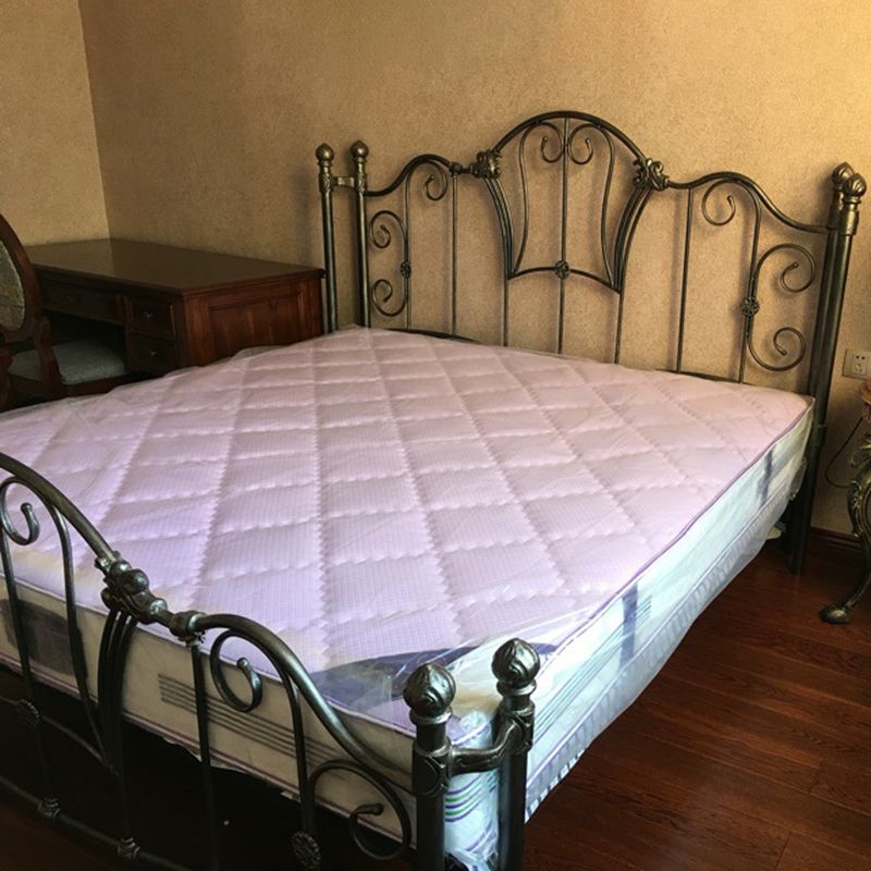 Metal Open-Frame Bed Solid Color Slat Bed with Custom Gold Leg