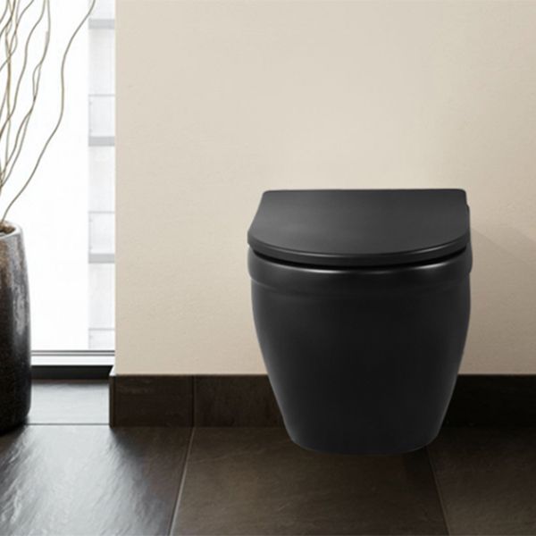 Contemporary Flush Toilet Wall Mount One-Piece Toilet Porcelain Toilet Bowl