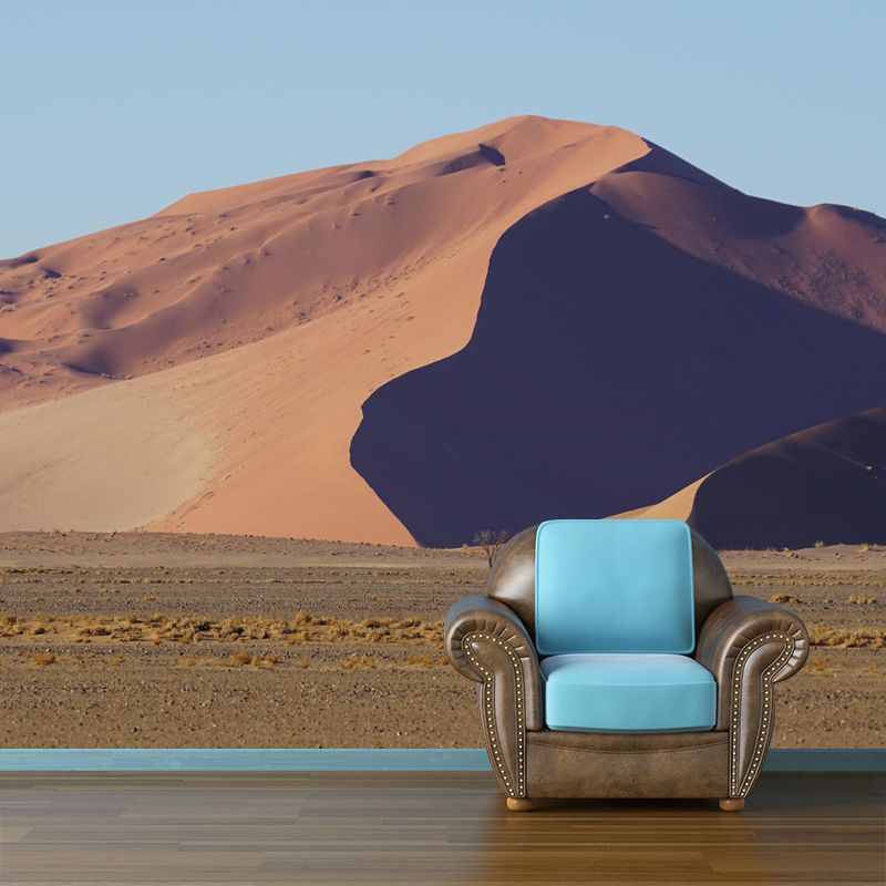 Desert Landscape Mural Horizontal Photography Wall Decor for Living Room