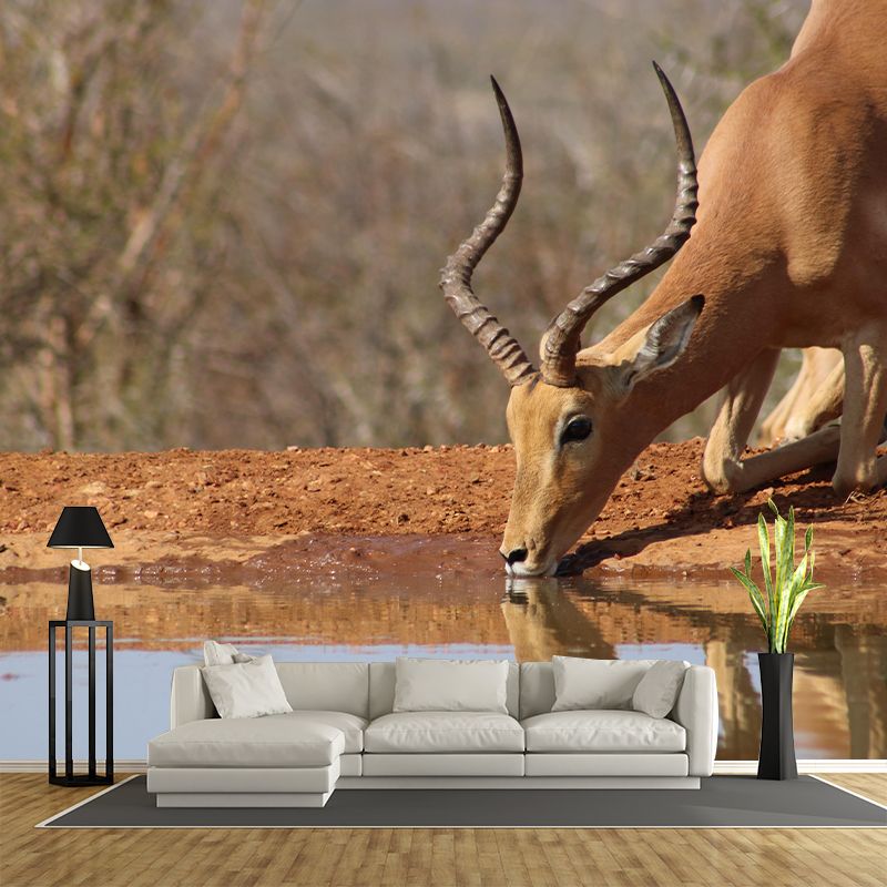 Photography Gazelle Mural Wallpaper for Sitting Room Decor Multiple Sizes Available