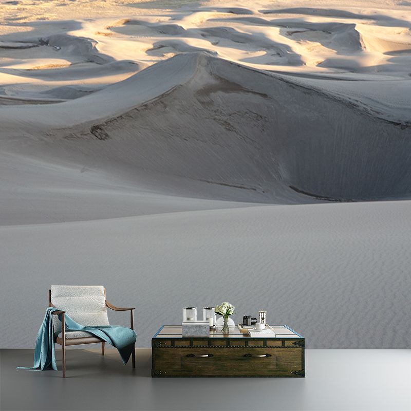 Dry Desert Contemporary Mural Decal Sitting Room Water Resistant Wall Decor