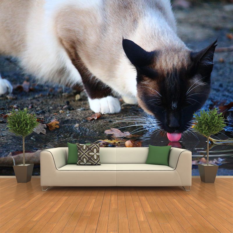 Customized Siamese Cat Wall Mural Horizontal Photography for Sleeping Room Decoration
