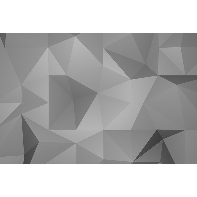 Illustration Wall Mural Wallpaper Geometry Sitting Room Wall Mural