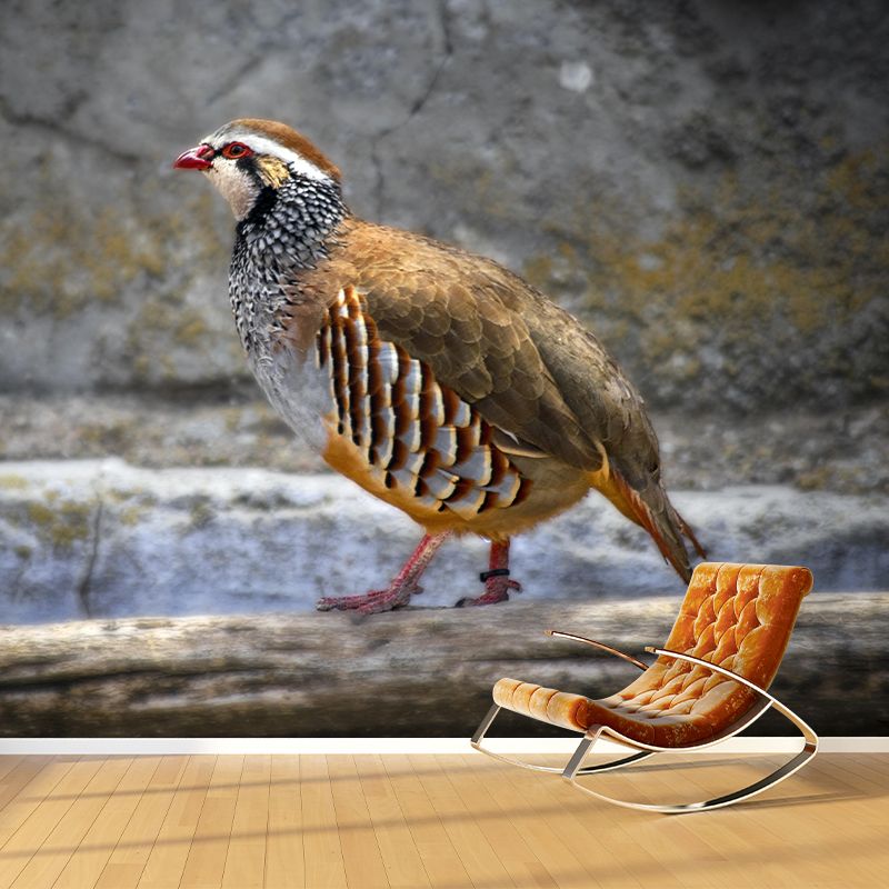 Wild Partridge Mural Contemporary Photography for Living Room Decoration