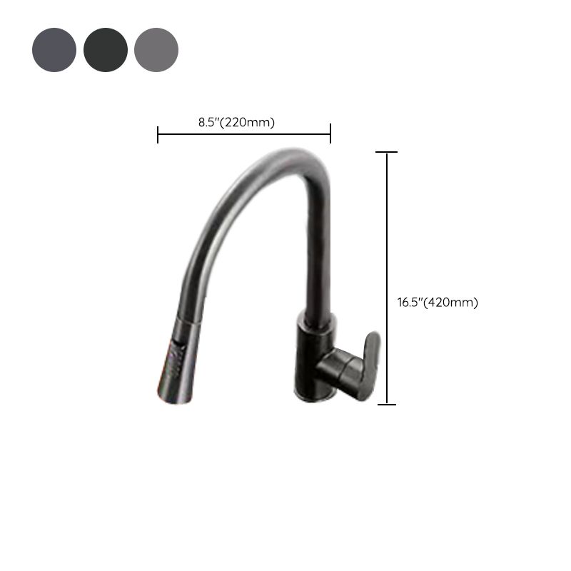 Modern 1-Handle Faucet Pull down with Water Dispenser Standard Kitchen Faucet