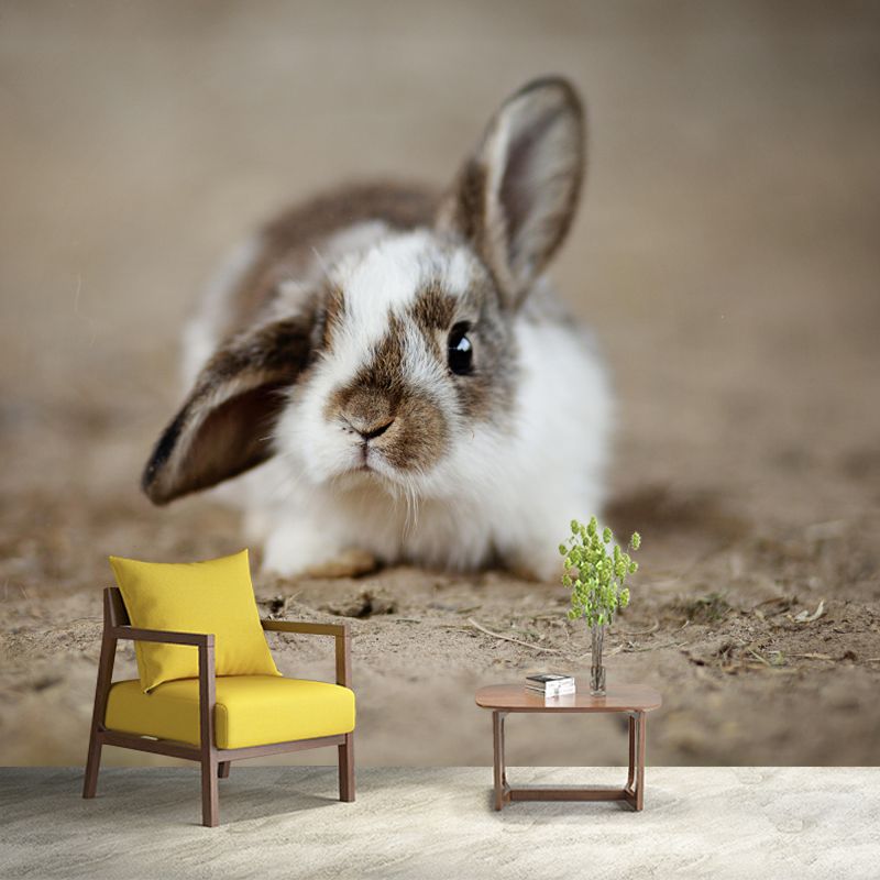 Horizontal Photography Rabbit Wall Mural Decorative Mildew Resistant for Living Room