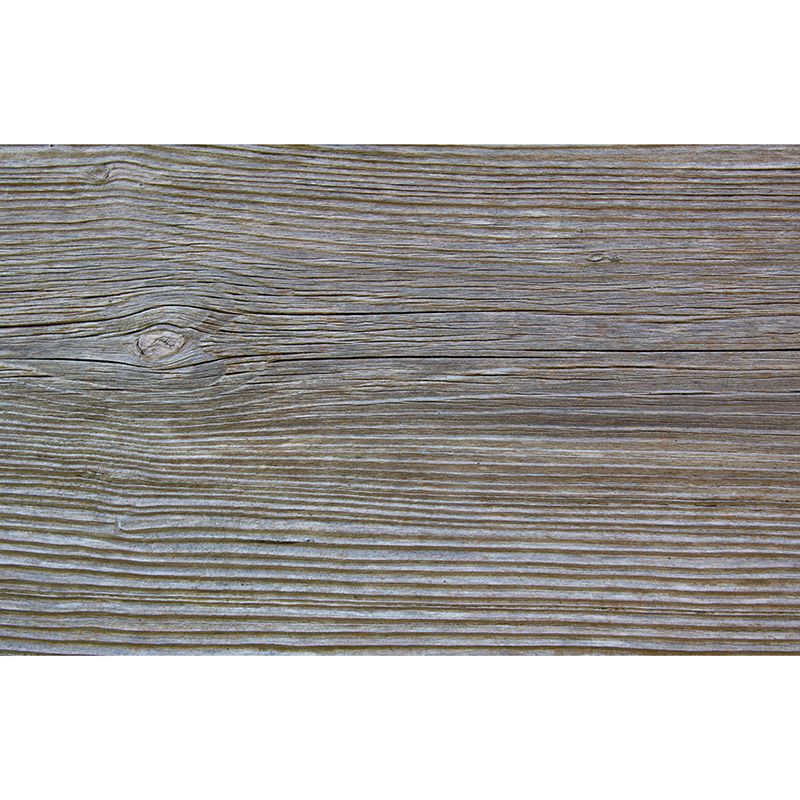 Wood Texture Wall Mural Industrial Style Mildew Resistant for Reading Room