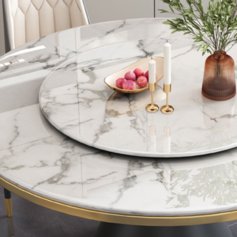 Sintered Stone Dining Room Table Pedestal Dining Table for Dining Room