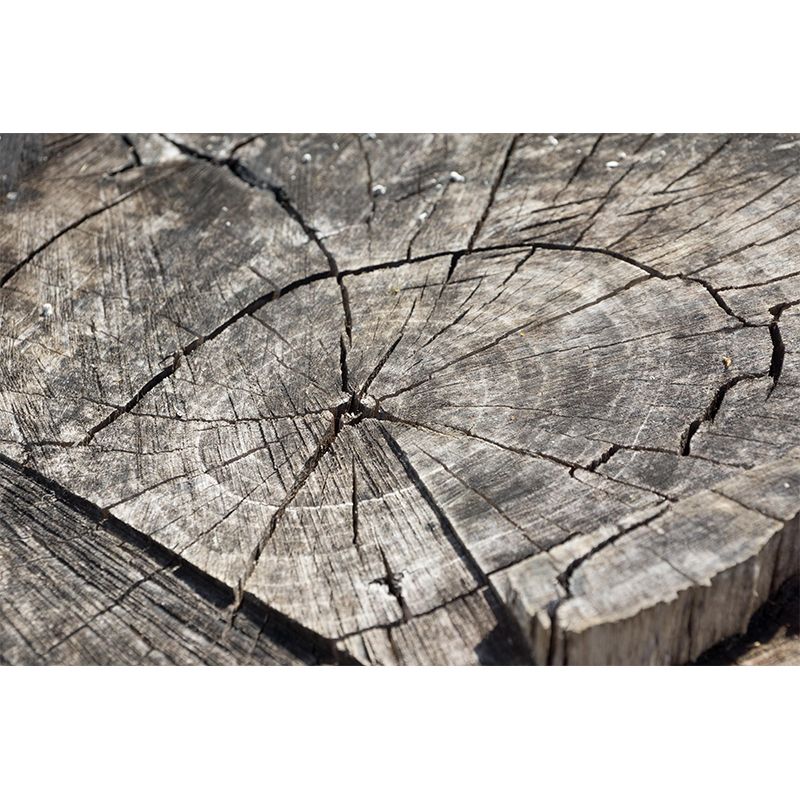 Industrial Style Wood Grain Mural Decorative Mildew Resistant Wall Decor